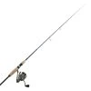 Shimano Stella 2500 HG FJ Energy Concept Trout Spin Combo 8'2'' 2-14g 2pc
