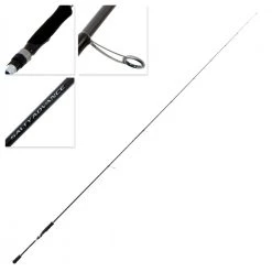 Shimano Miravel 2500 HG Salty Advance Eging Squid Combo 8ft 3in 0.4-1kg 2pc