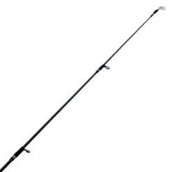Shimano Salty Advance Eging S83ML Squid Rod 8ft 3in 0.4-1kg 2pc -Shimano Sales Store 134371 6 n 1