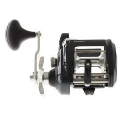 Shimano Tekota 800PG A Backbone Fully Rollered Level Wind Game Combo 5ft 7in 24kg 1pc 23 Shimano Tekota 800PG A Backbone Fully Rollered Level Wind Game Combo 5ft 7in 24kg 1pc -Shimano Sales Store 179100 8 n 1