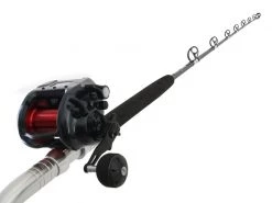Shimano DDM Plays 4000 And Status Bent Butt Electric Deep Sea Combo With Line 5ft 10in PE3-5 2pc