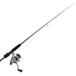Shimano Stradic FL 2500 HG Sephia BB S83ML Squid Combo 8ft 3in PE0.4-0.8 2pc