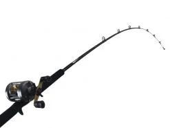 Shimano Corvalus 400 And Eclipse Baitcaster Light Boat Combo 6ft 4-8kg 1pc -Shimano Sales Store bundledtrcov40andtdec340 1