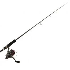 Shimano Stradic CI4+ 2500 HG FB Salty Advance Eging S83ML Squid Combo 8ft 3in 0.4-1kg 2pc