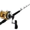 Shimano Tiagra 50 WA And Abyss SW Stand Up Game Combo 5'2'' 50-80lb