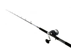 Shimano Torium 20A HG Left Hand And Vortex Overhead Combo 6ft 10in 10-15kg 1pc