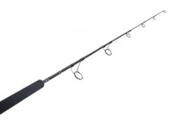 Shimano Energy Concept SVX2 Spin Jigging Rod 5ft PE2-4 2pc