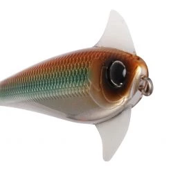 Shimano Sales Store -Shimano Sales Store groupedshimanowaxwing 3 5