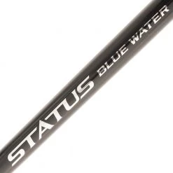 Shimano Tyrnos 30 Status Blue Water Bent Butt DDM 2-Speed Game Combo 5ft 10in 15-24kg 2pc -Shimano Sales Store sbw510dd3050 4 1