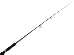 Shimano ColtSniper S900M Spinning Rod 9ft PE2 2pc