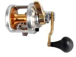Shimano Talica 12 And Carbolite SW Overhead Strayline Combo 7ft 10-15kg 7 Shimano Talica 12 And Carbolite SW Overhead Strayline Combo 7ft 10-15kg -Shimano Sales Store trtac11 4 1