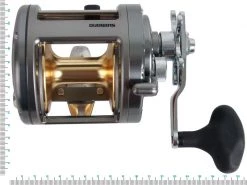 Shimano Tekota 700 And Vortex Overhead Combo 5ft 7in 15-24kg 1pc 7 Shimano Tekota 700 And Vortex Overhead Combo 5ft 7in 15-24kg 1pc -Shimano Sales Store trtek70 3