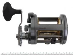 Shimano Tekota 800 Level Wind Overhead Reel 9 Shimano Tekota 800 Level Wind Overhead Reel -Shimano Sales Store trtek80 5