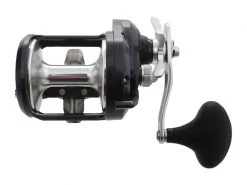 Shimano Torium 30A HG Overhead Reel -Shimano Sales Store trtor31 4