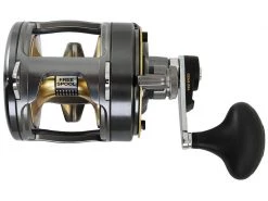 Shimano Tyrnos 20 II 2 Speed Overhead Reel